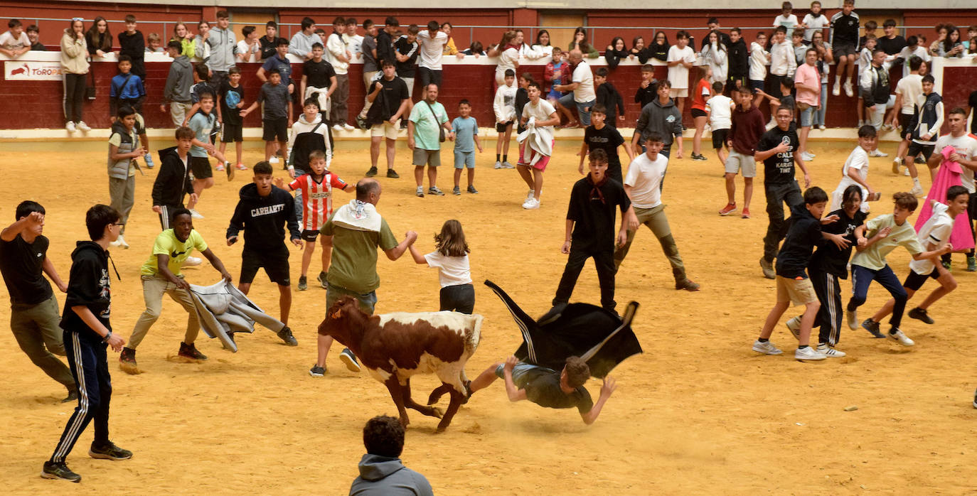 Las vaquillas, fieles a la cita de San Mateo
