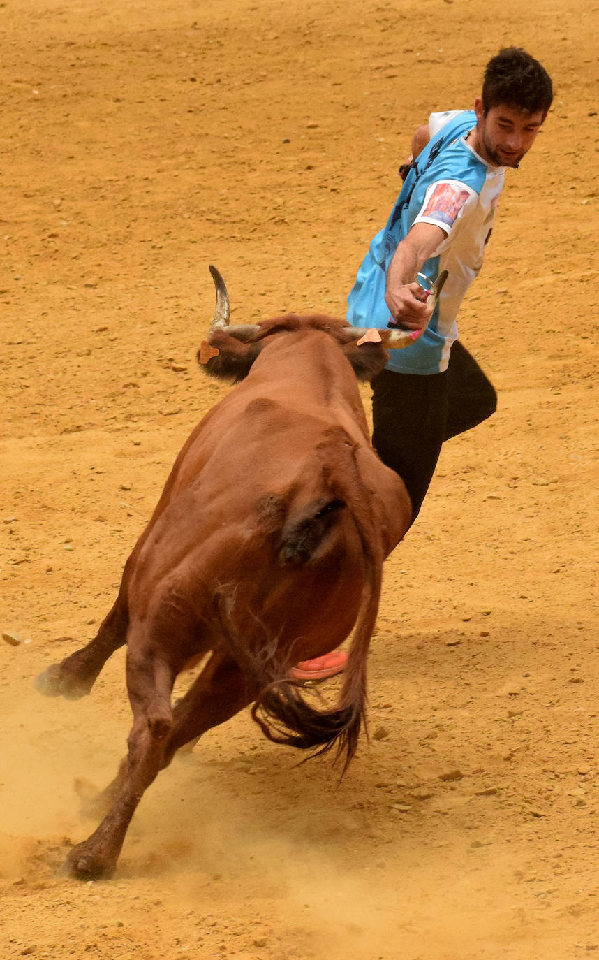 Las vaquillas, fieles a la cita de San Mateo