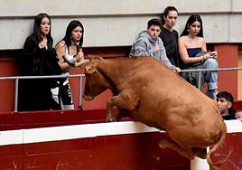 Las vaquillas, fieles a la cita de San Mateo