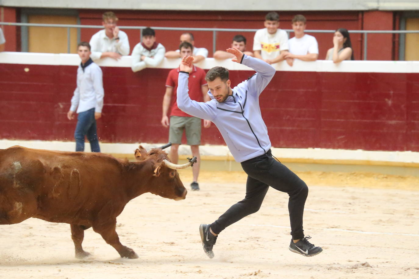 La cantera riojana se da cita en la plaza de toros de La Ribera