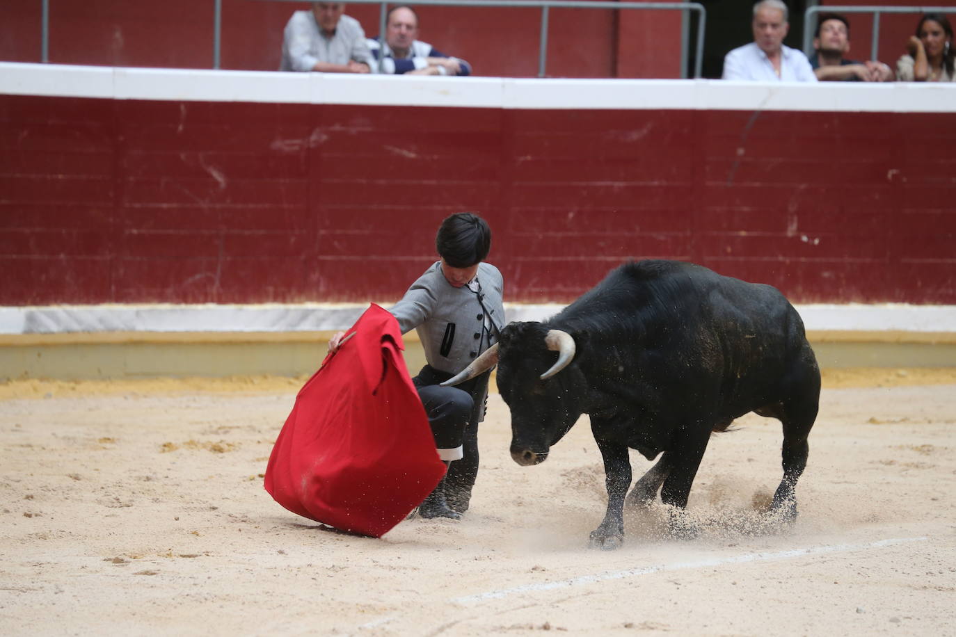 La cantera riojana se da cita en la plaza de toros de La Ribera