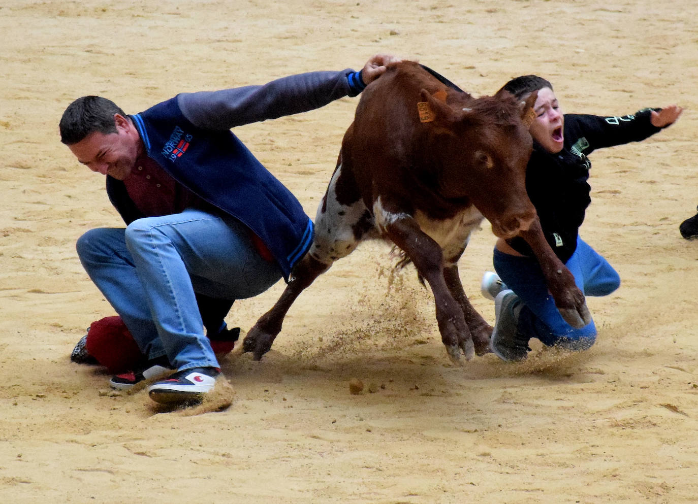 Las vaquillas del día de San Mateo