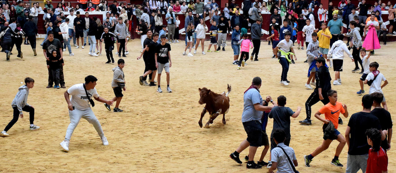 Las vaquillas del día de San Mateo