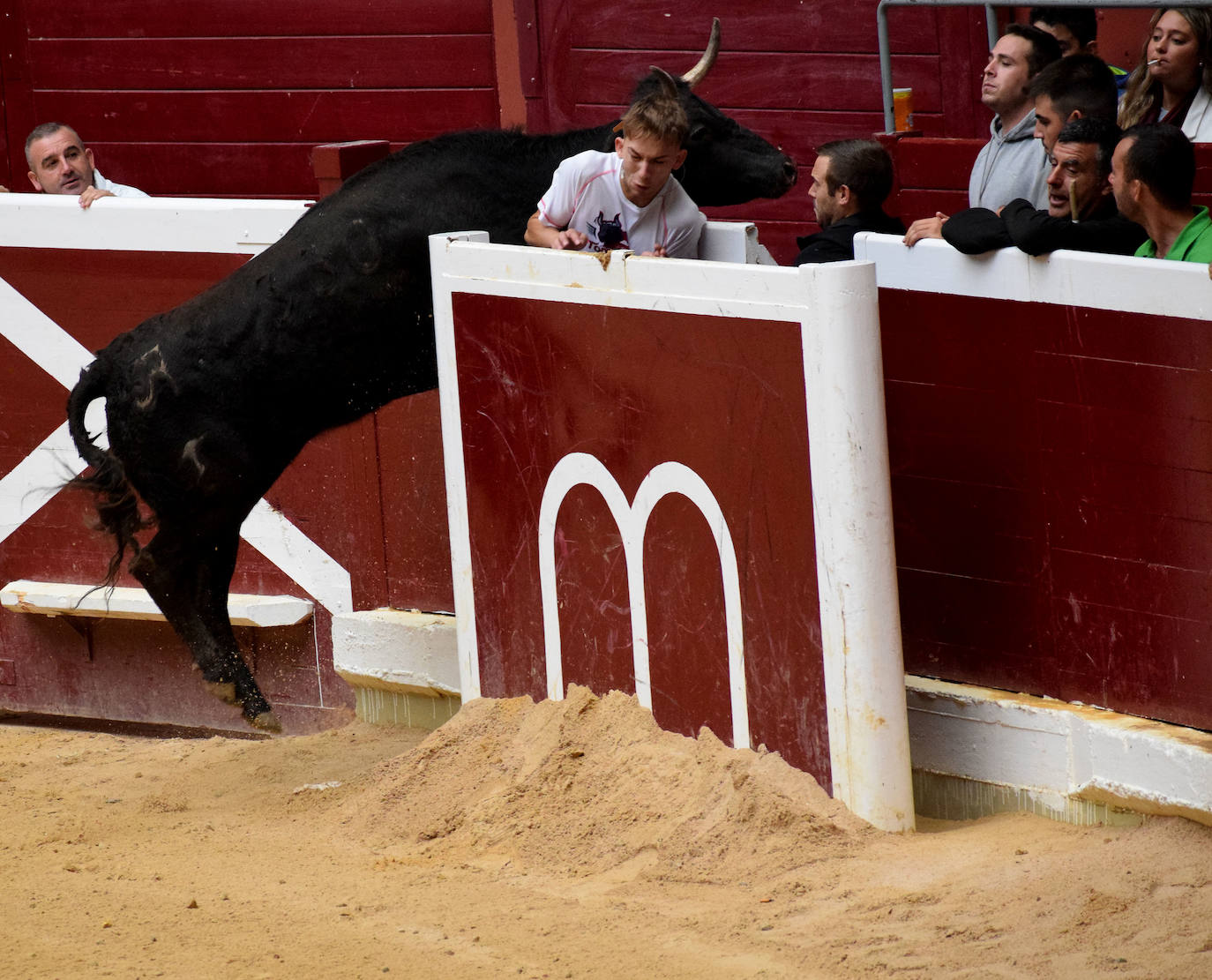 Las vaquillas del día de San Mateo
