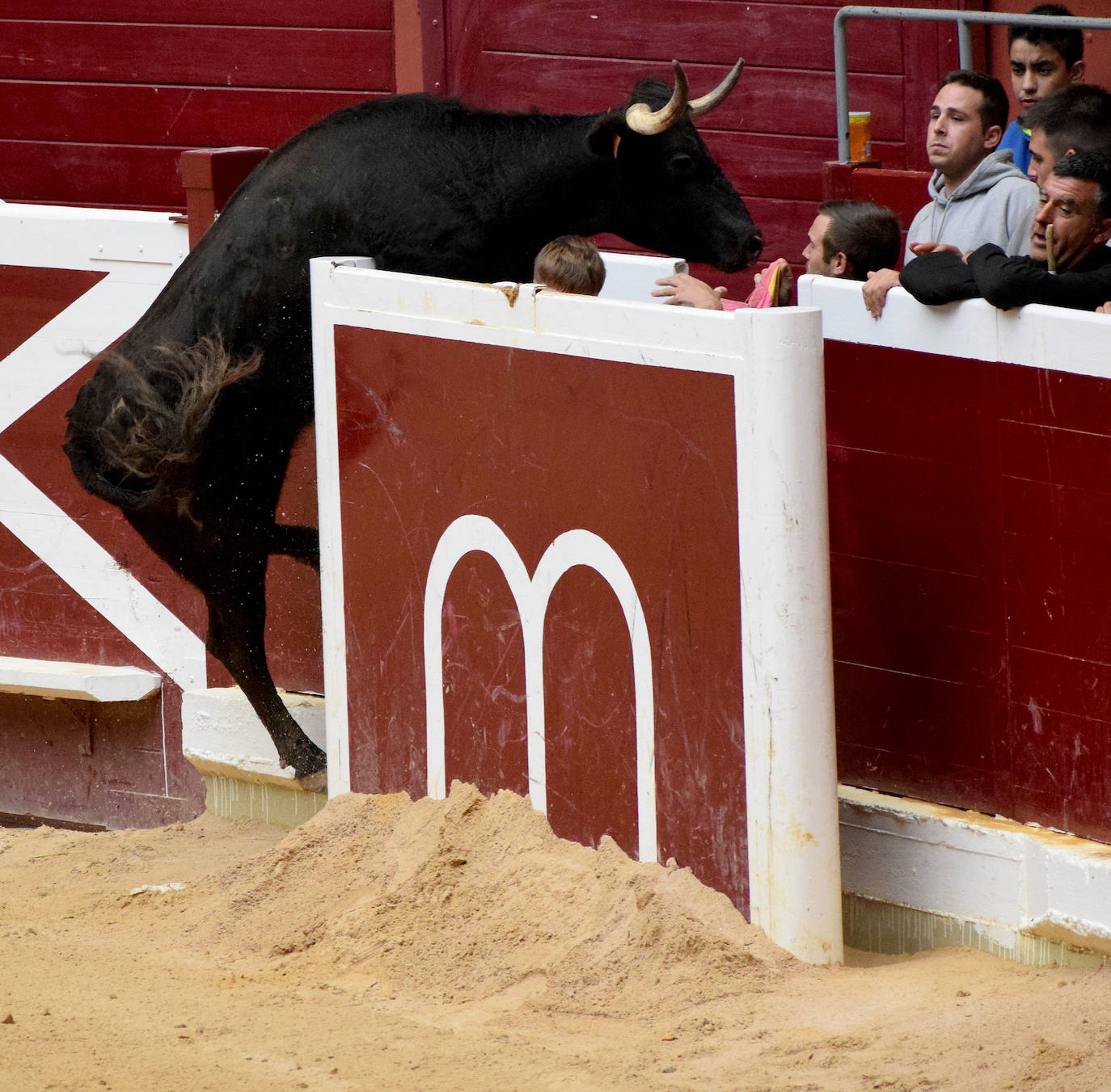 Las vaquillas del día de San Mateo