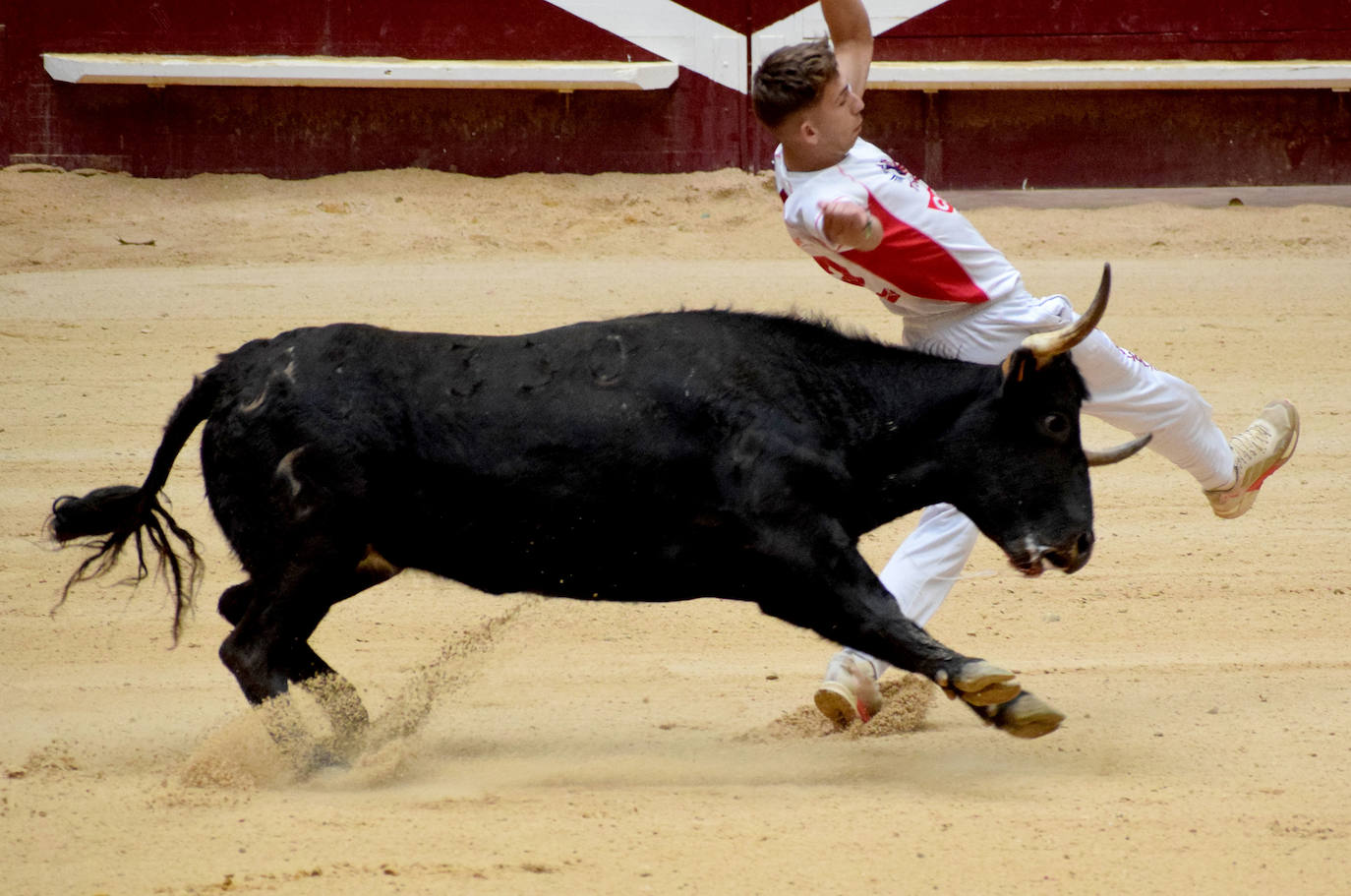 Las vaquillas del día de San Mateo