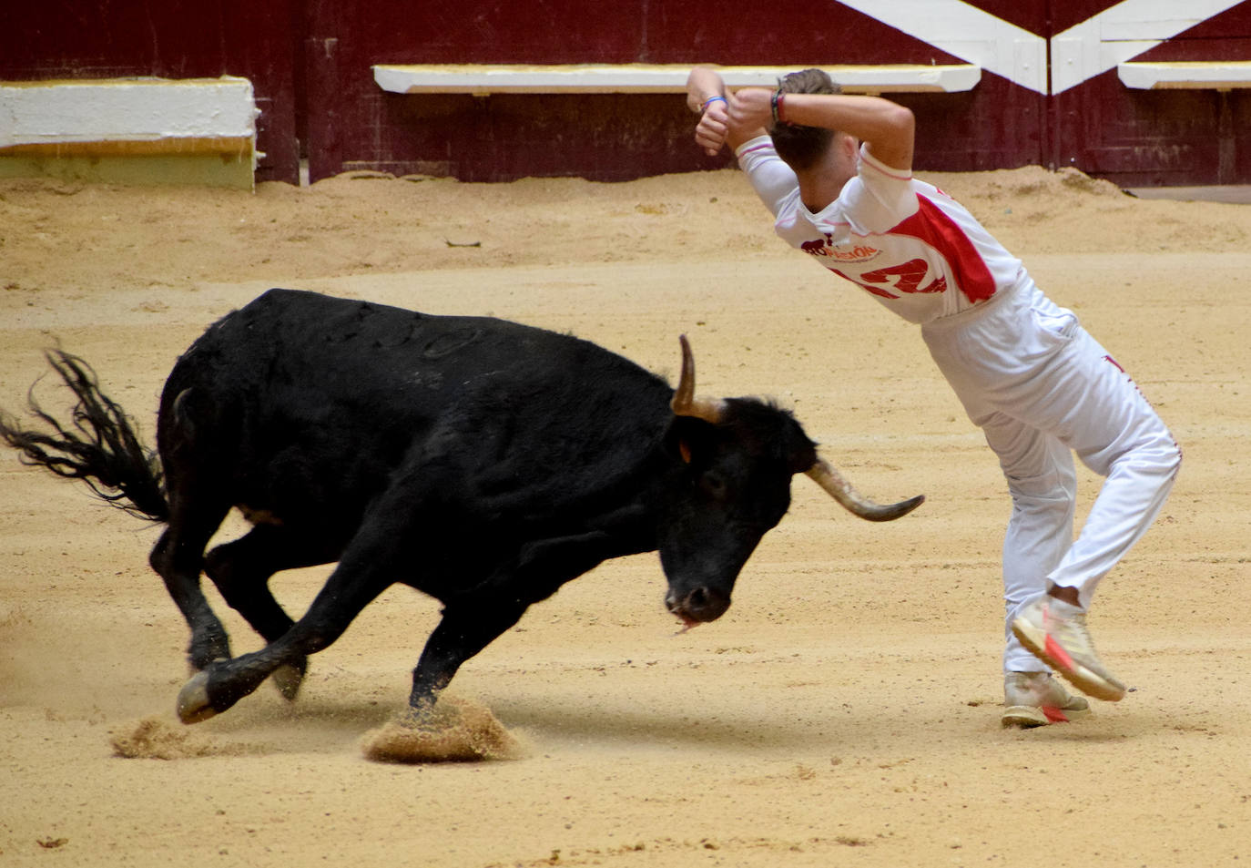 Las vaquillas del día de San Mateo