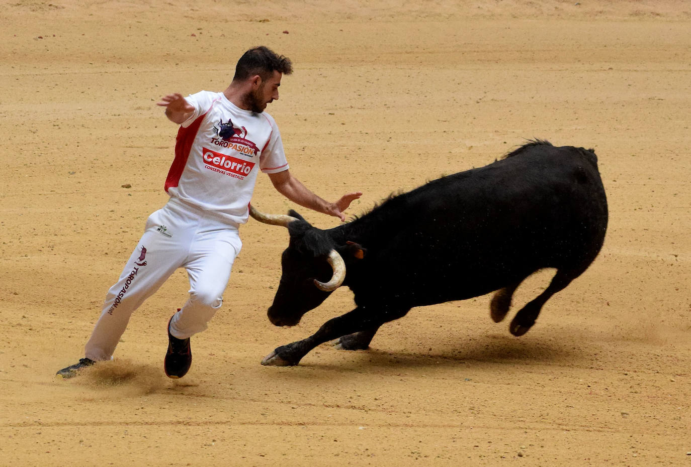 Las vaquillas del día de San Mateo