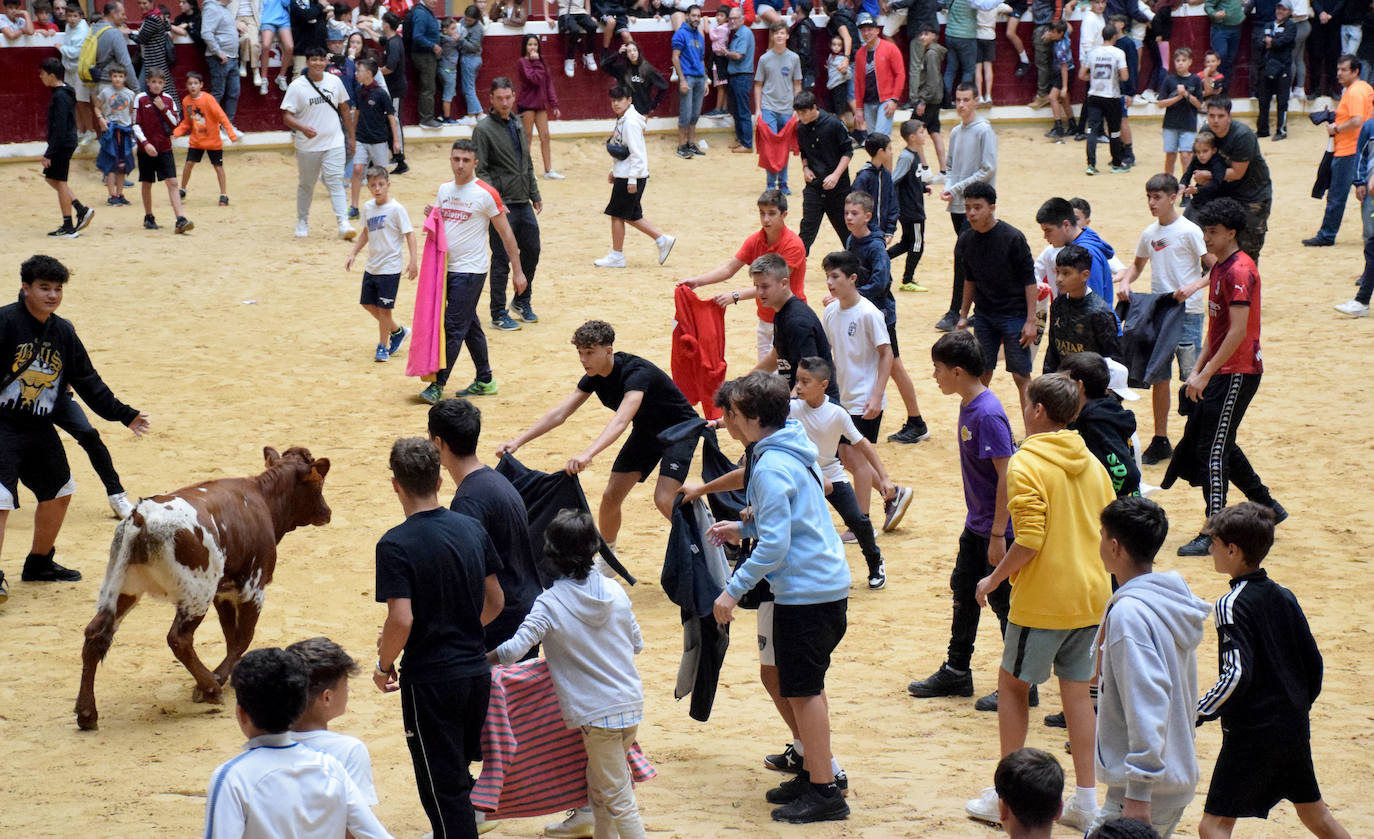 Las vaquillas del día de San Mateo