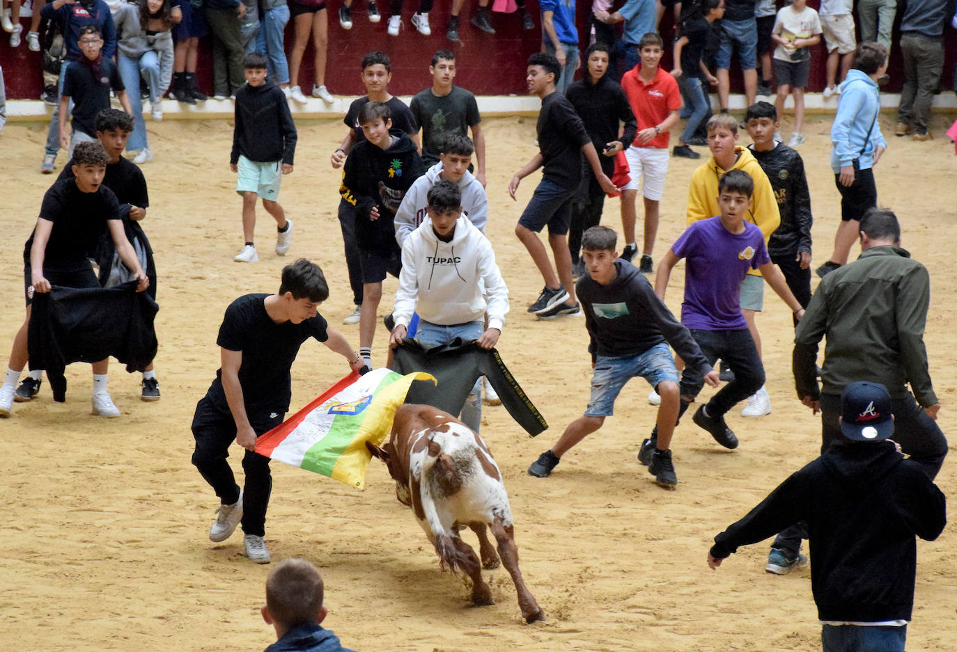 Las vaquillas del día de San Mateo