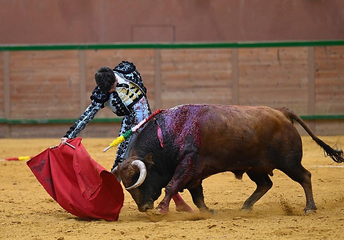 Derechazo encajado de Barroso a un buen novillo de Murteira Grave.