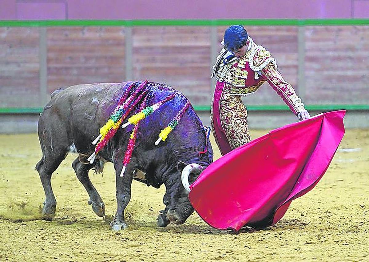Imagen secundaria 1 - Alejandro Chicharro y Tristán Barroso. 