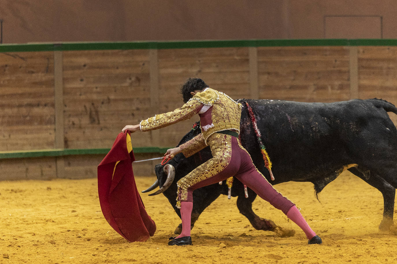 Así ha sido la novillada de toros en Arnedo