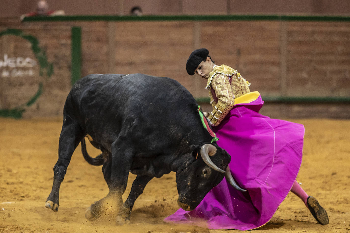 Así ha sido la novillada de toros en Arnedo