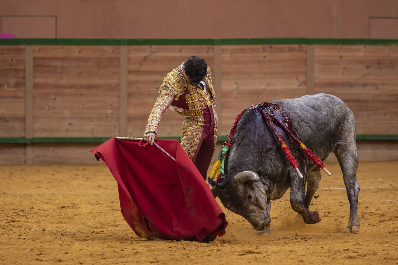 Así ha sido la novillada de toros en Arnedo