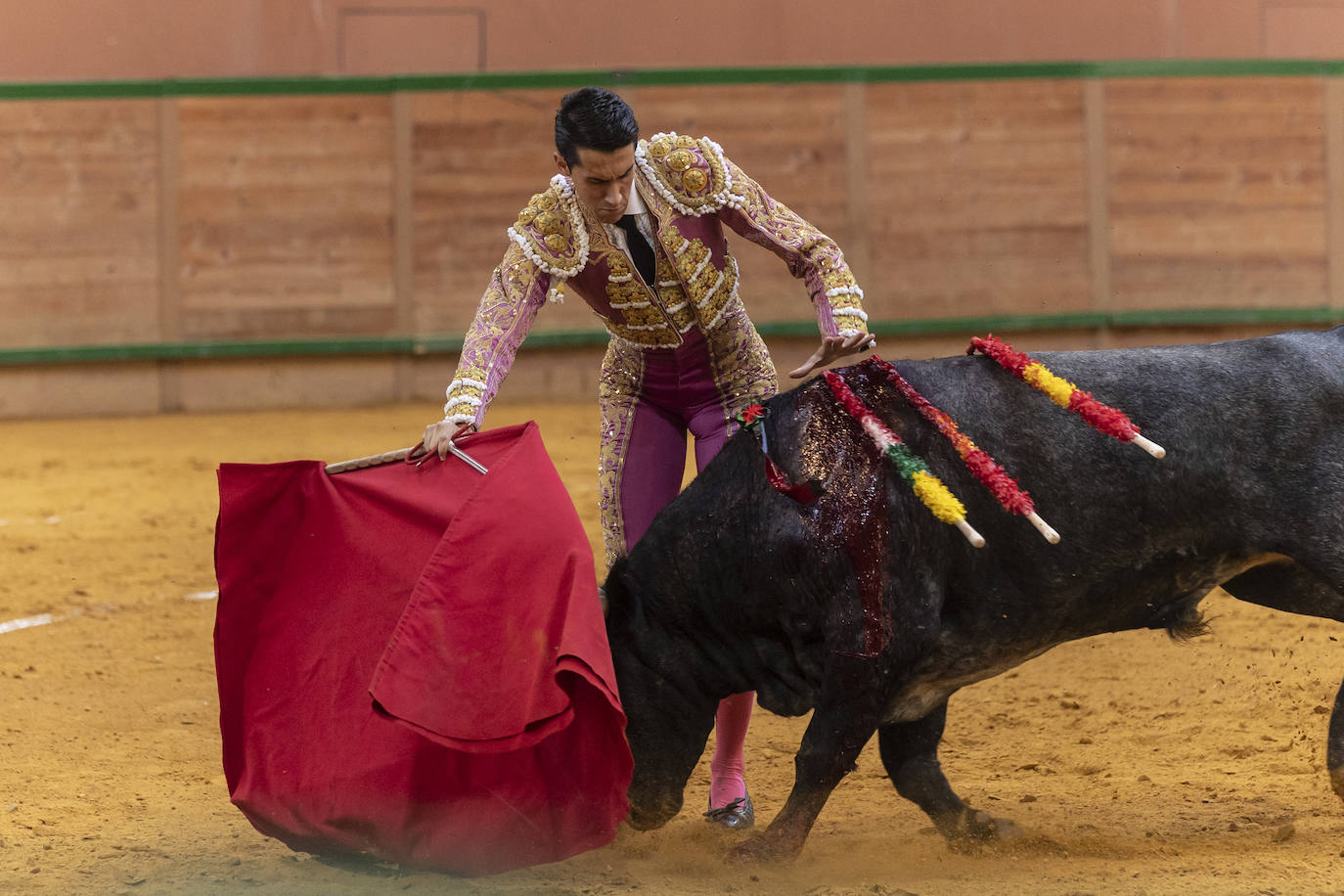Así ha sido la novillada de toros en Arnedo
