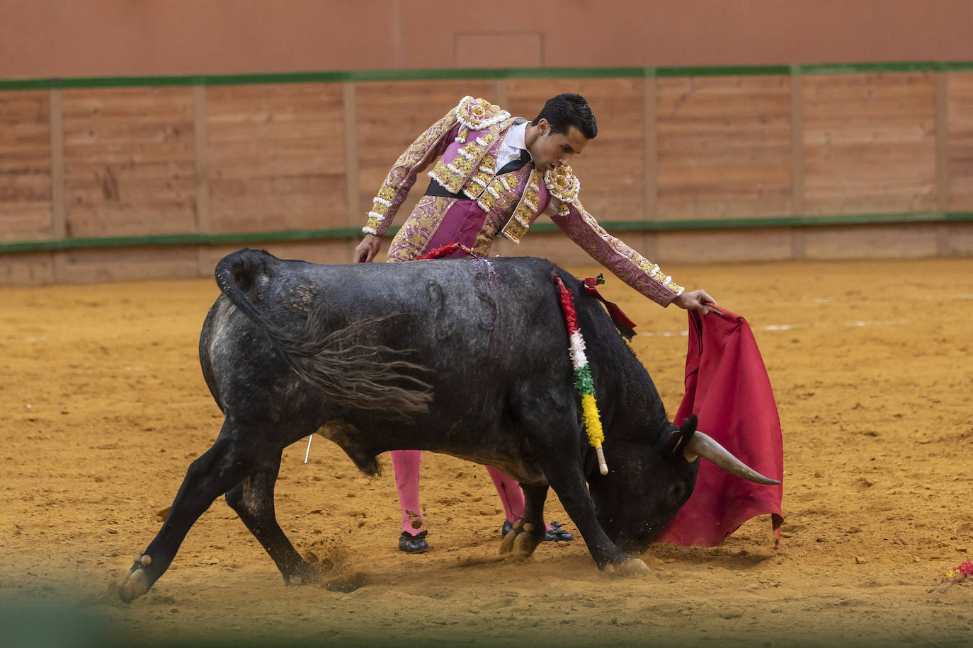 Así ha sido la novillada de toros en Arnedo