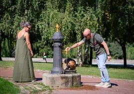 El dueño de un perro refresca al animal en un parque de Logroño.