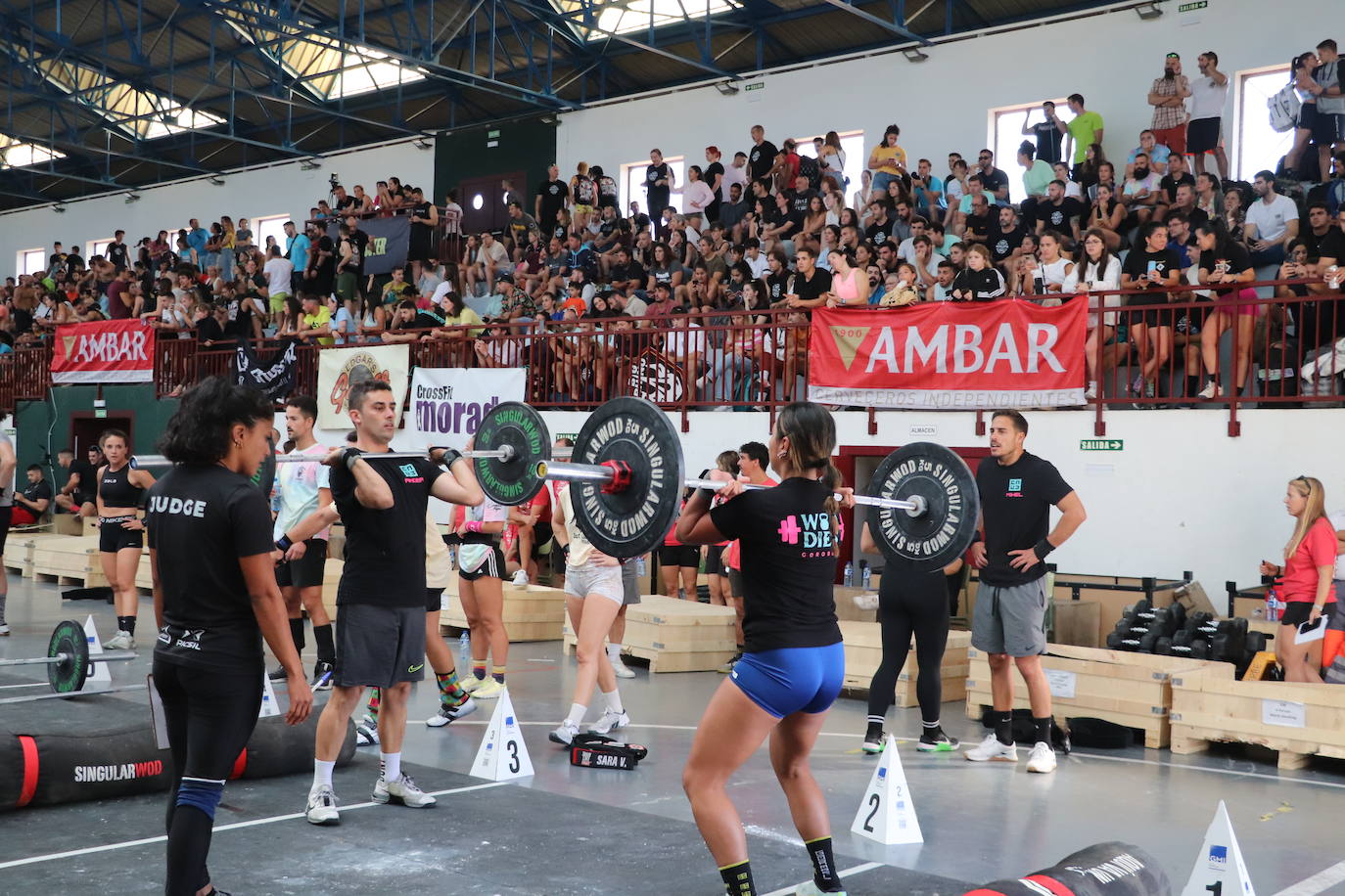 Todas las imágenes de La Rioja Arena Games