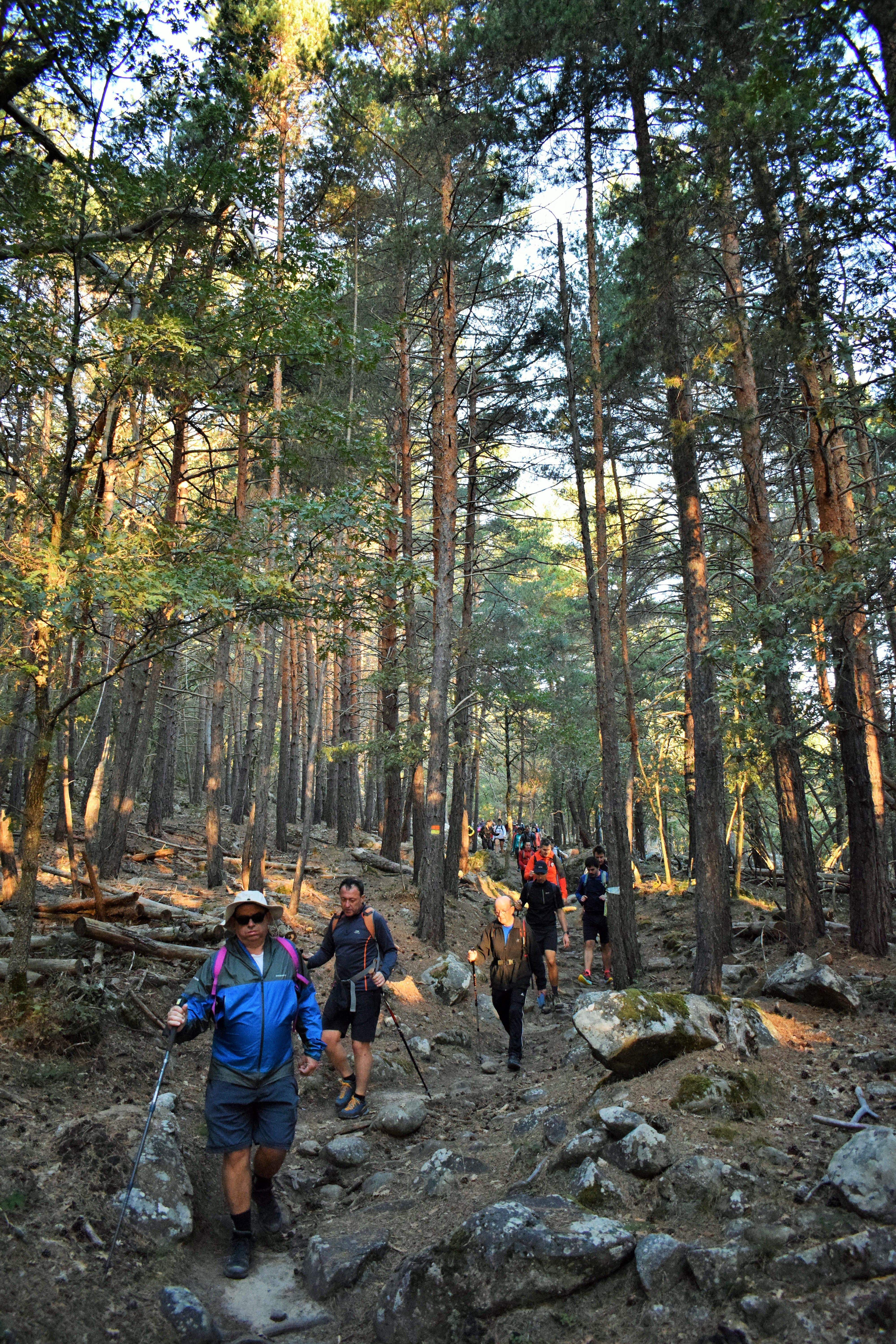 Instantes de la marcha de Hoyos