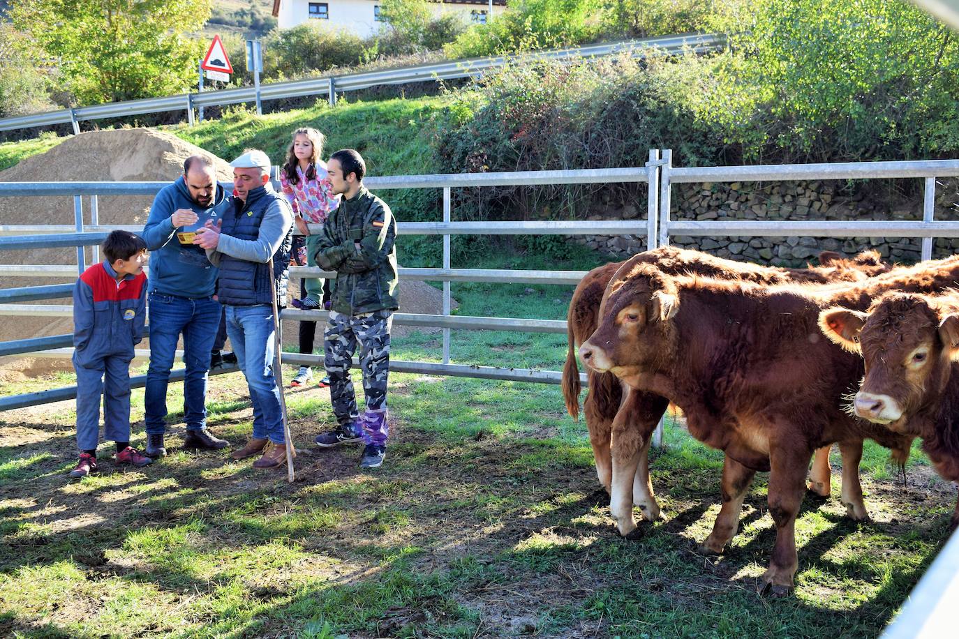 La XIII Feria del Ganado Selecto reúne este jueves más de 60 animales