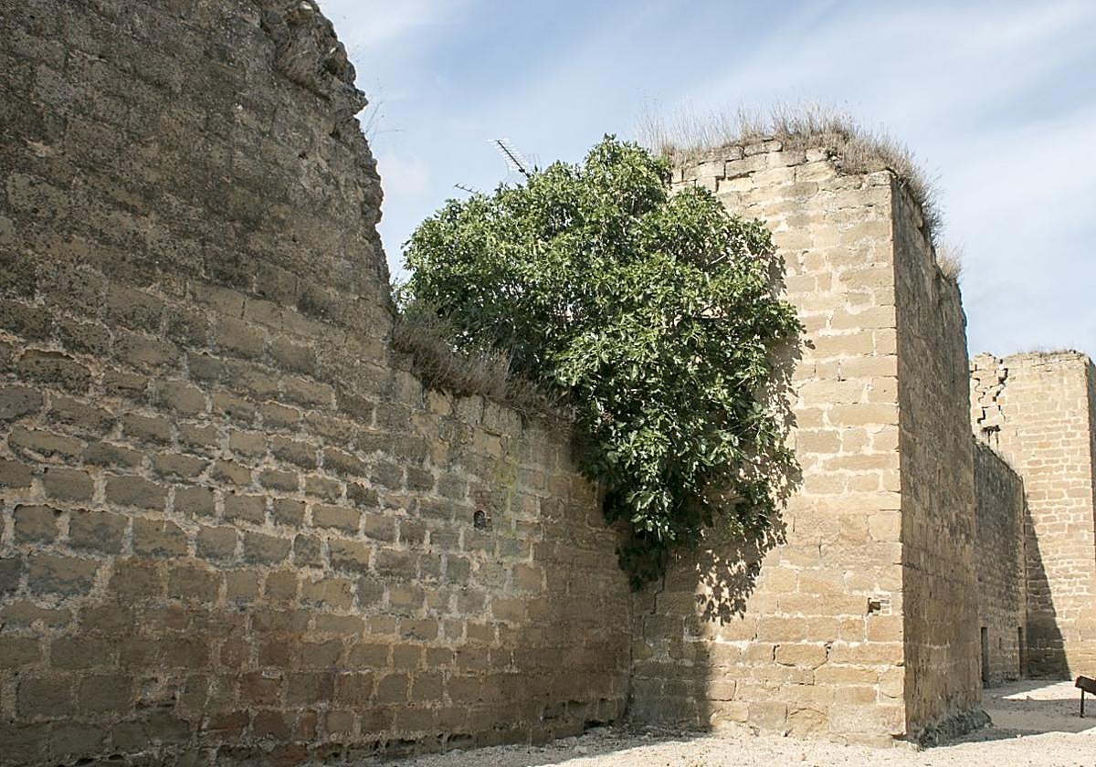 El deterioro de la muralla es muy patente en el lienzo de avenida de Burgos, buena parte en manos privadas.