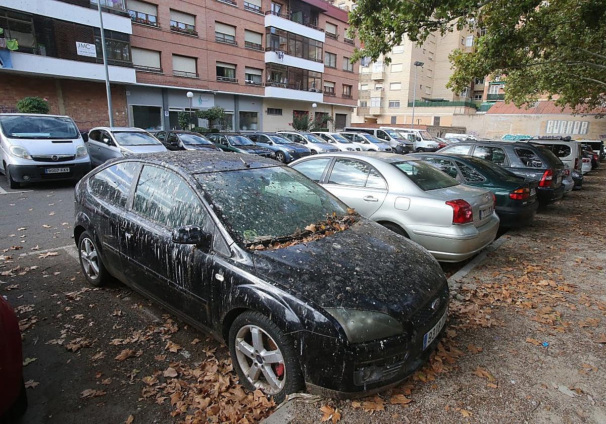 Parking con uno de los vehículos que lleva estacionado al menos desde el pasado año (repleto de hojarasca y excrementos de ave).