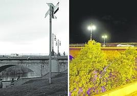 Con los molinos a otra parte