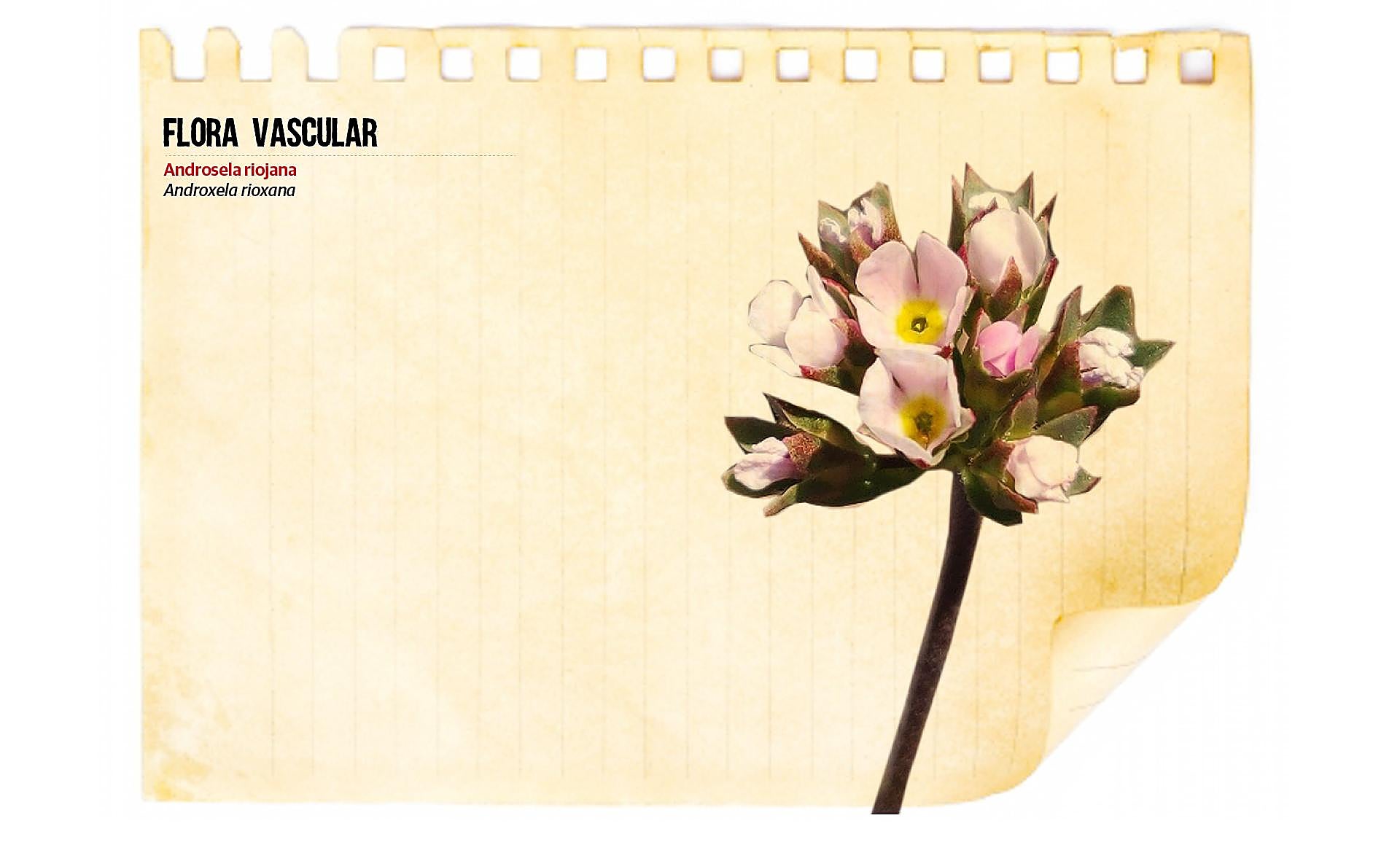 Scroll Story imagen 4