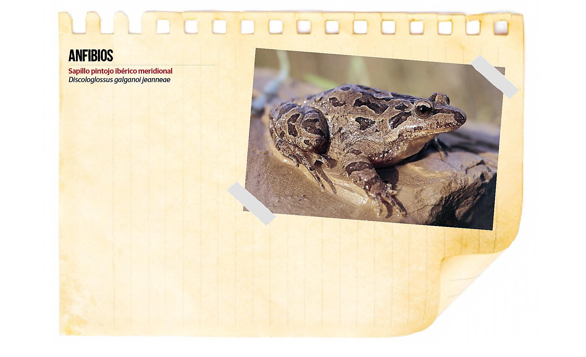 Scroll Story imagen 2