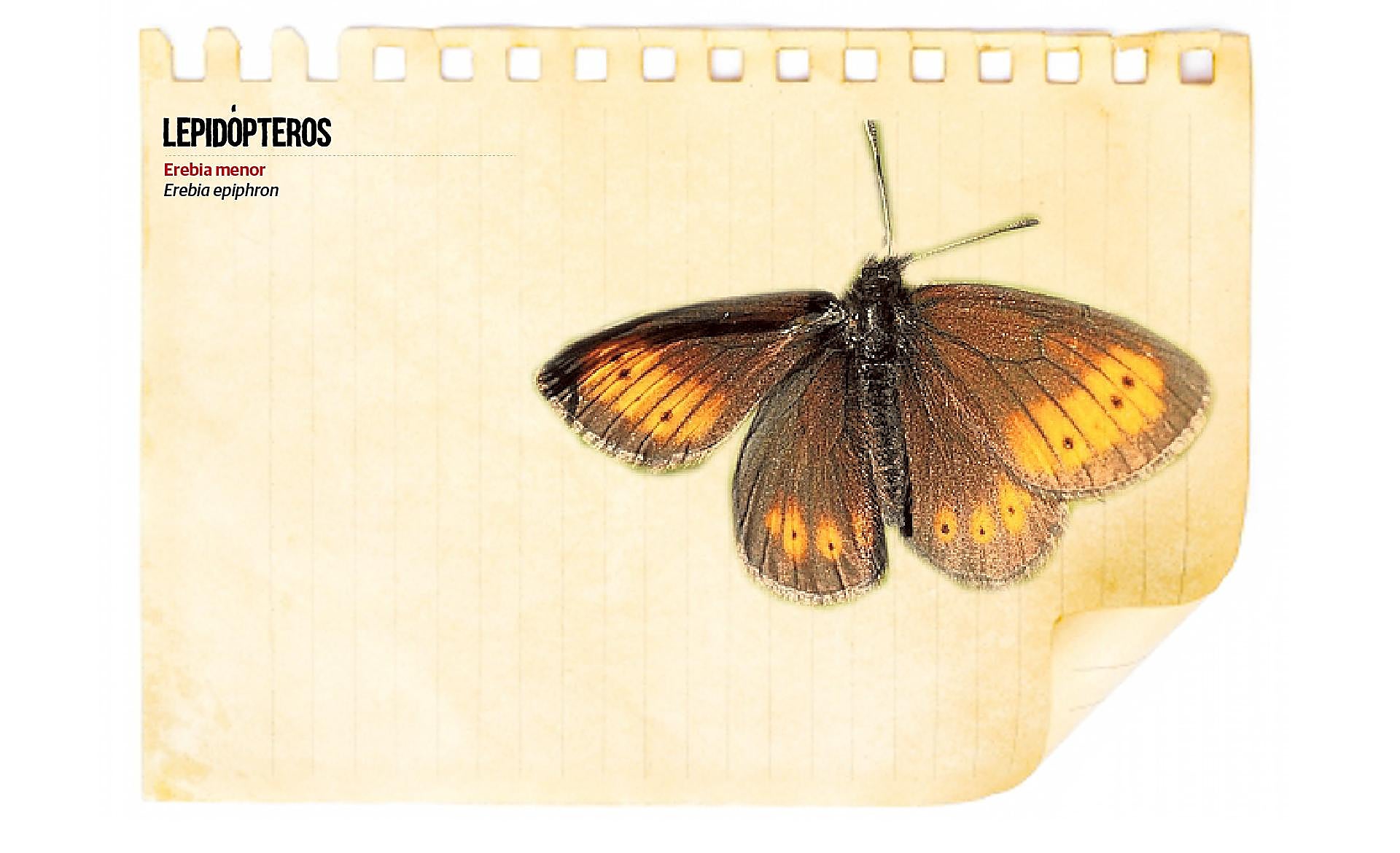 Scroll Story imagen 12