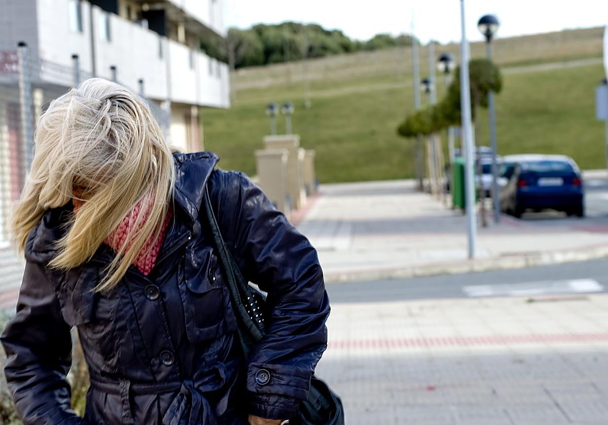 La Ibérica riojana, en alerta amarilla este jueves por vientos de hasta 80 kilómetros por hora