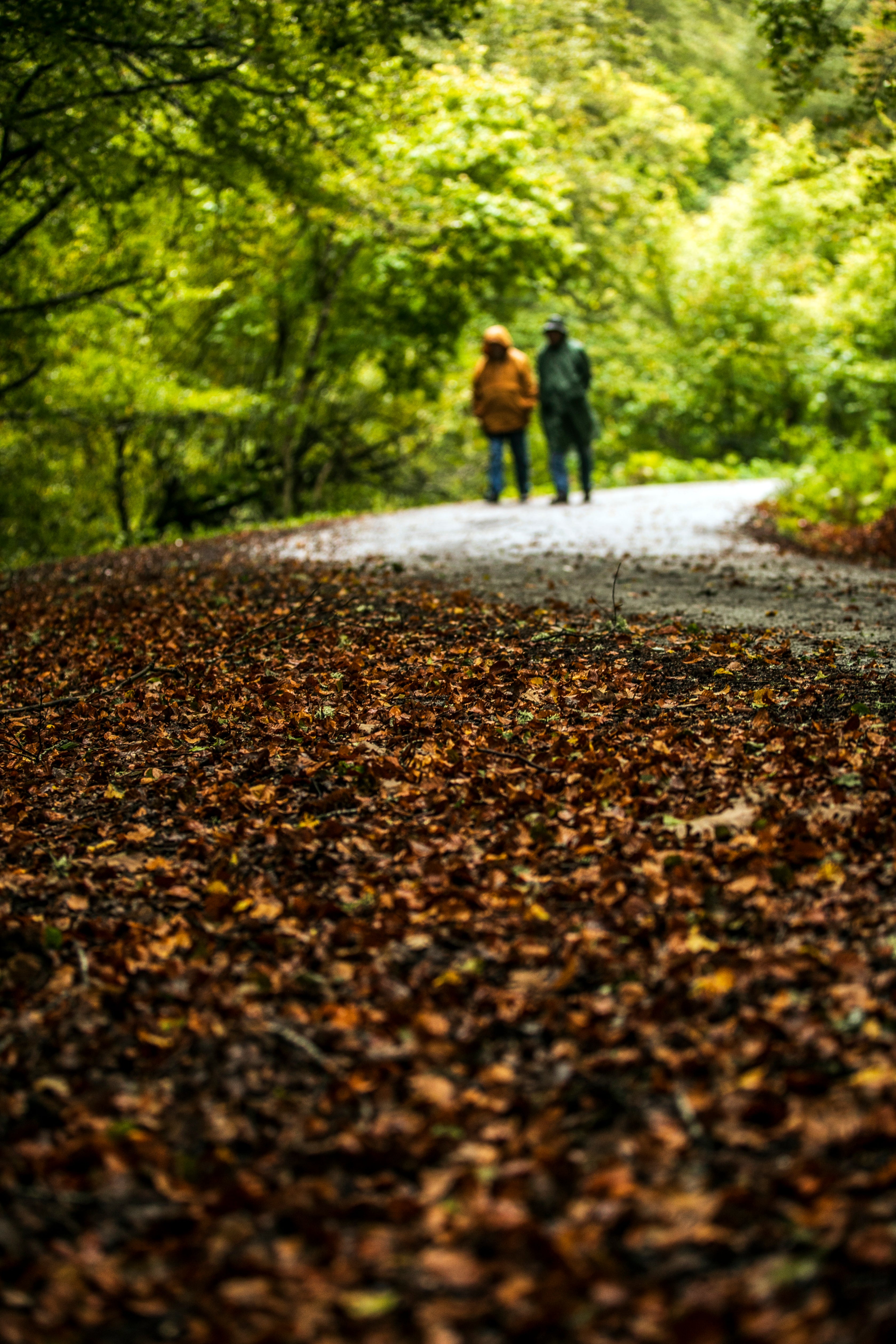 Rutas de otoño por La Rioja en imágenes