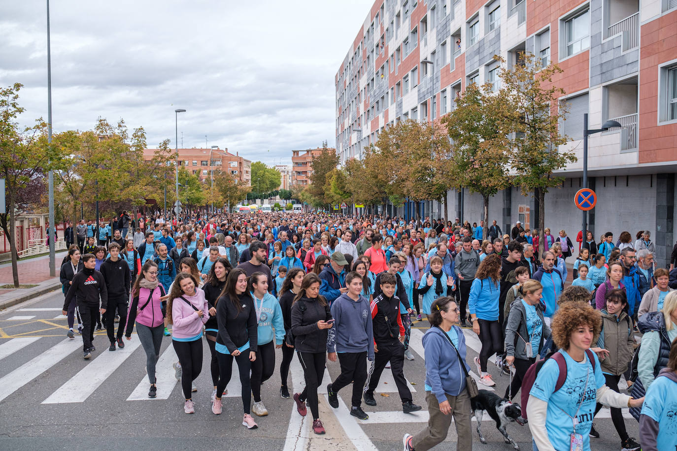 Las imágenes de la Marcha Aspace