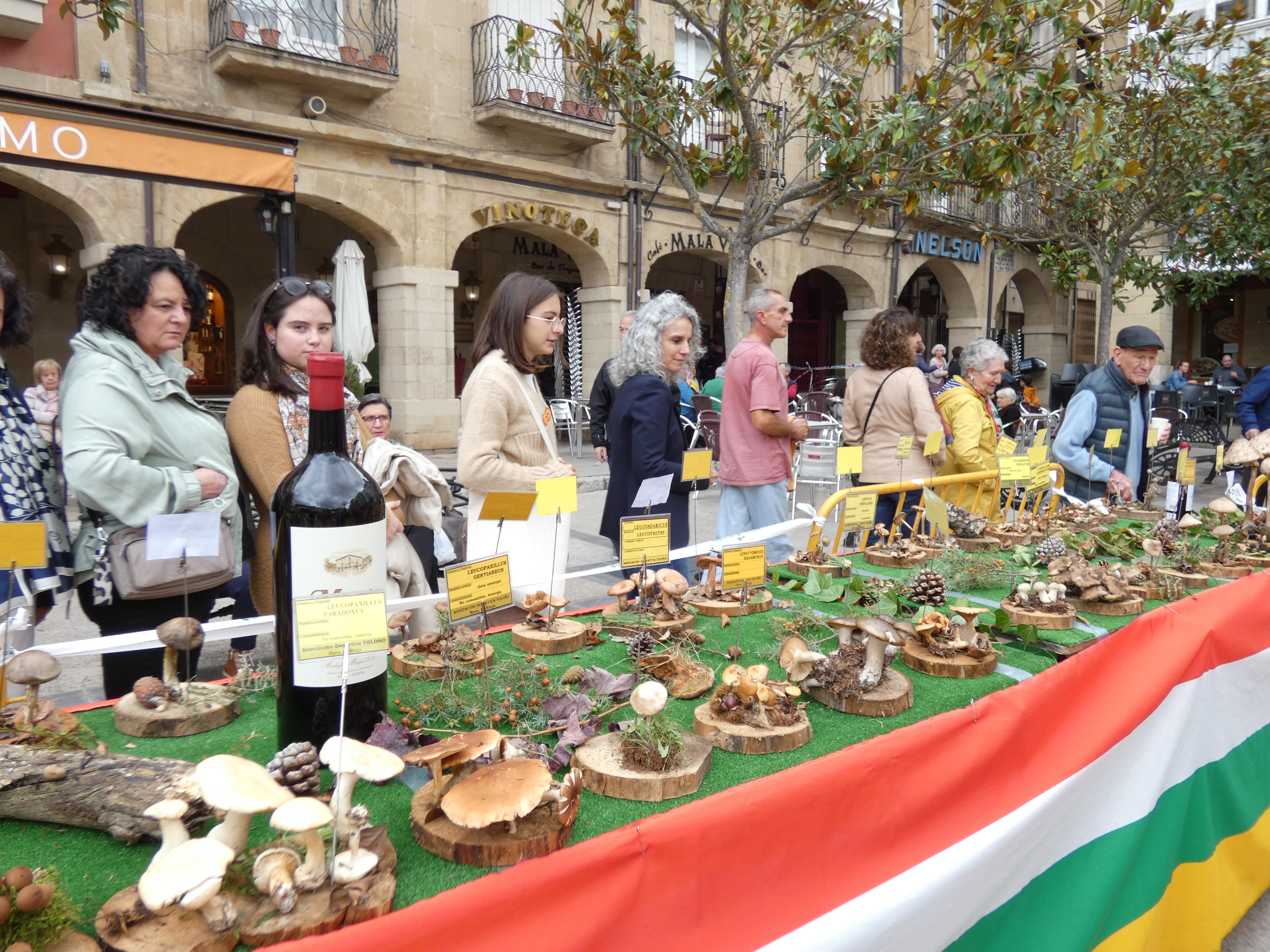 Haro disfruta este domigno de las XXIX Jornadas Micológicas