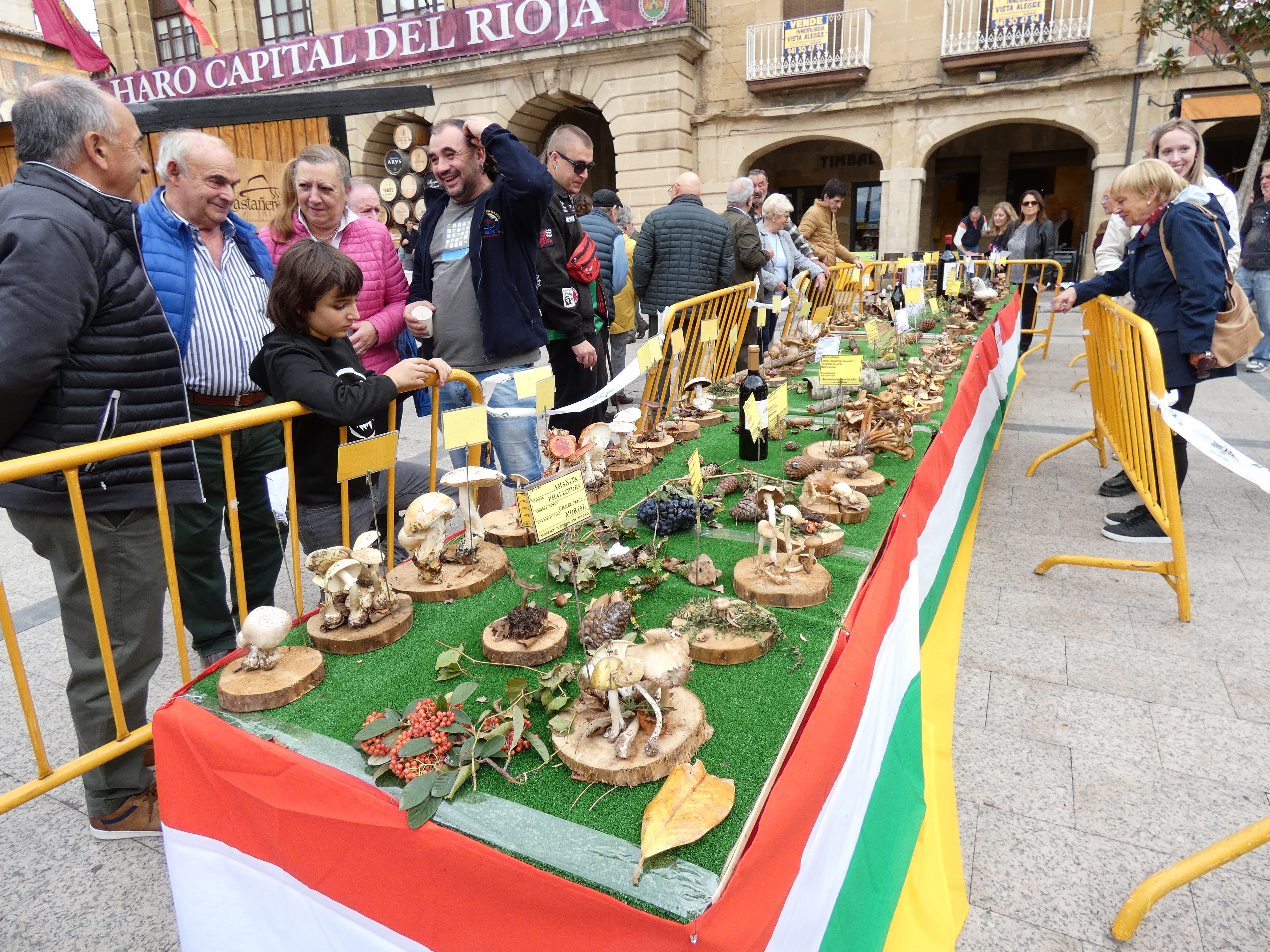 Haro disfruta este domigno de las XXIX Jornadas Micológicas