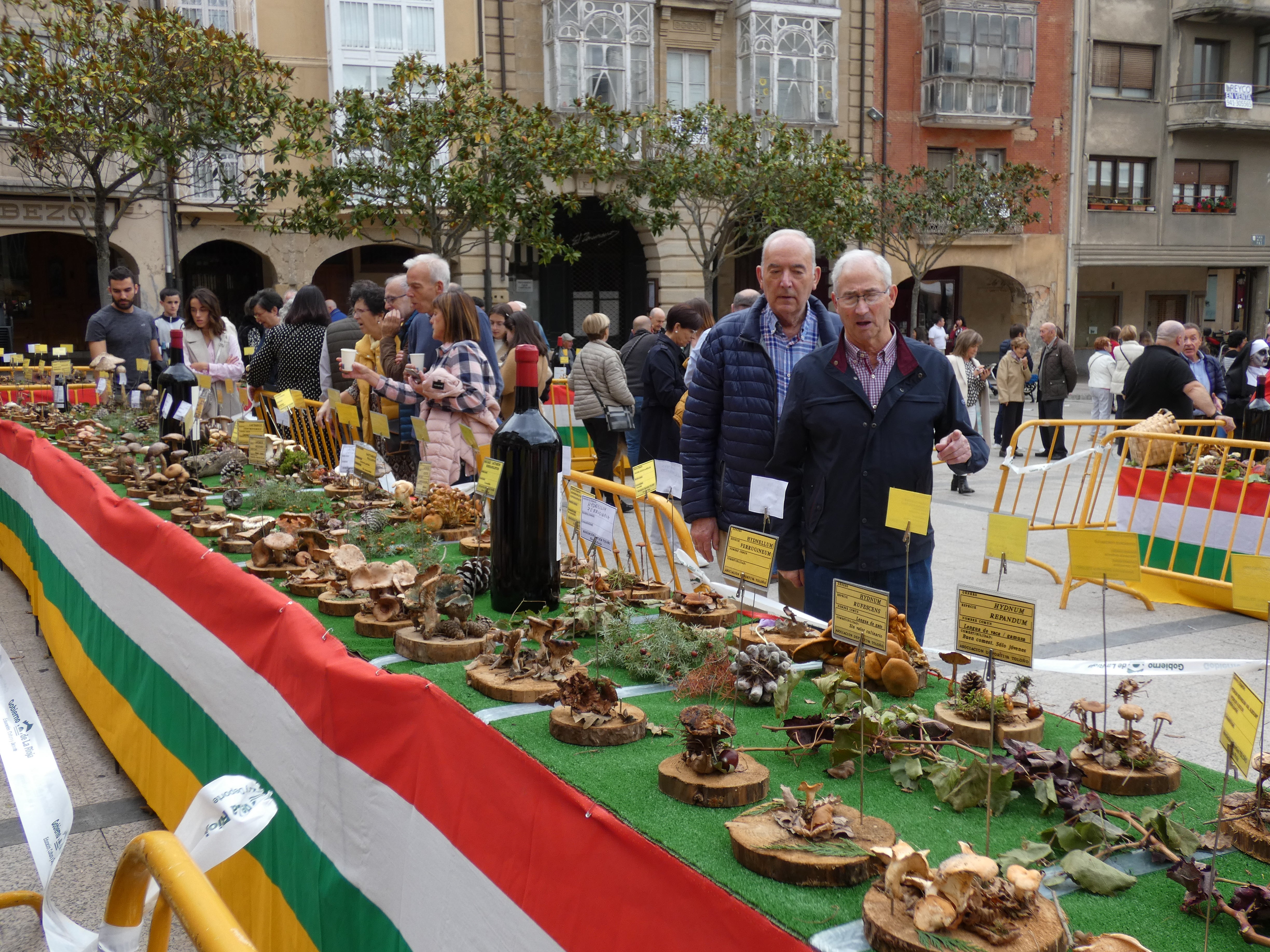 Haro disfruta este domigno de las XXIX Jornadas Micológicas