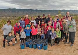 En la viña recogiendo la 'uva olvidada' para llevar al Barrio Bodegas de Quel.