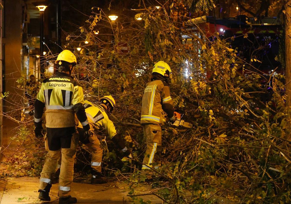 Imagen principal - Múltiples incidencias en Logroño por los fuertes vientos