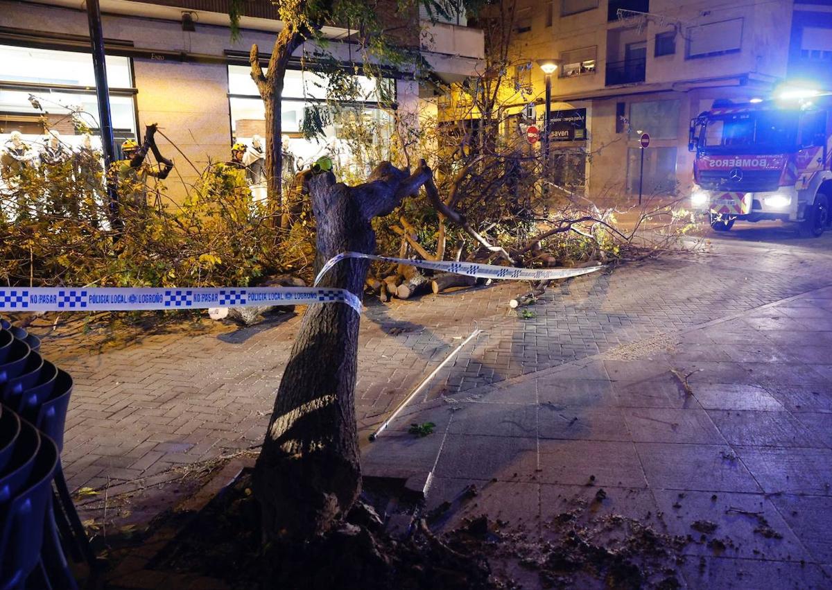 Imagen secundaria 1 - Múltiples incidencias en Logroño por los fuertes vientos