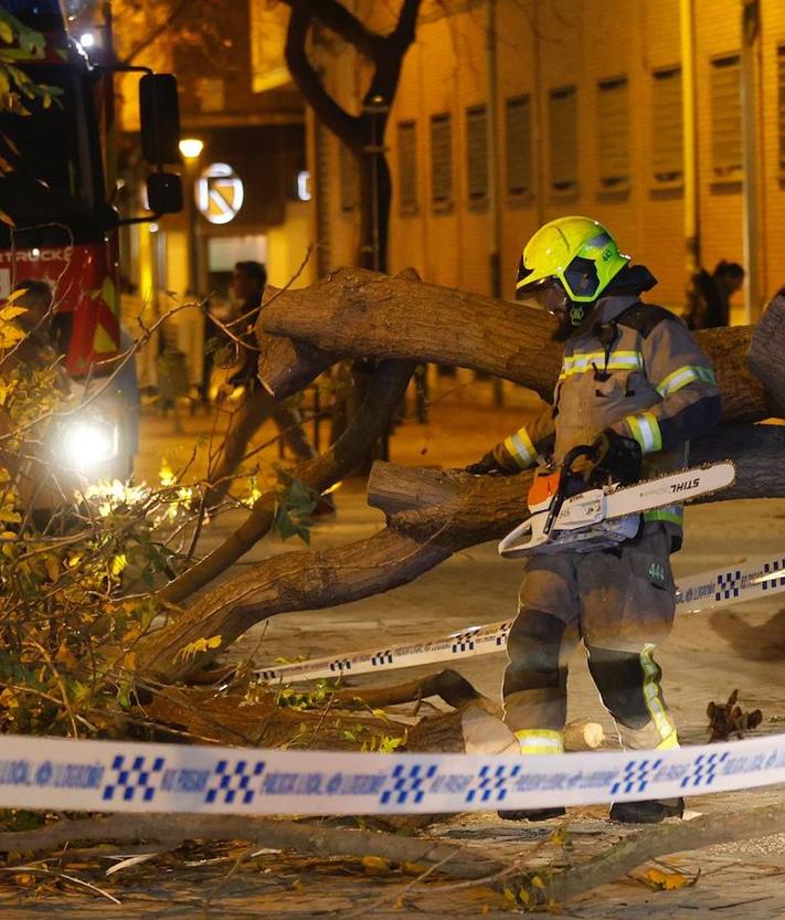 Imagen secundaria 2 - Múltiples incidencias en Logroño por los fuertes vientos