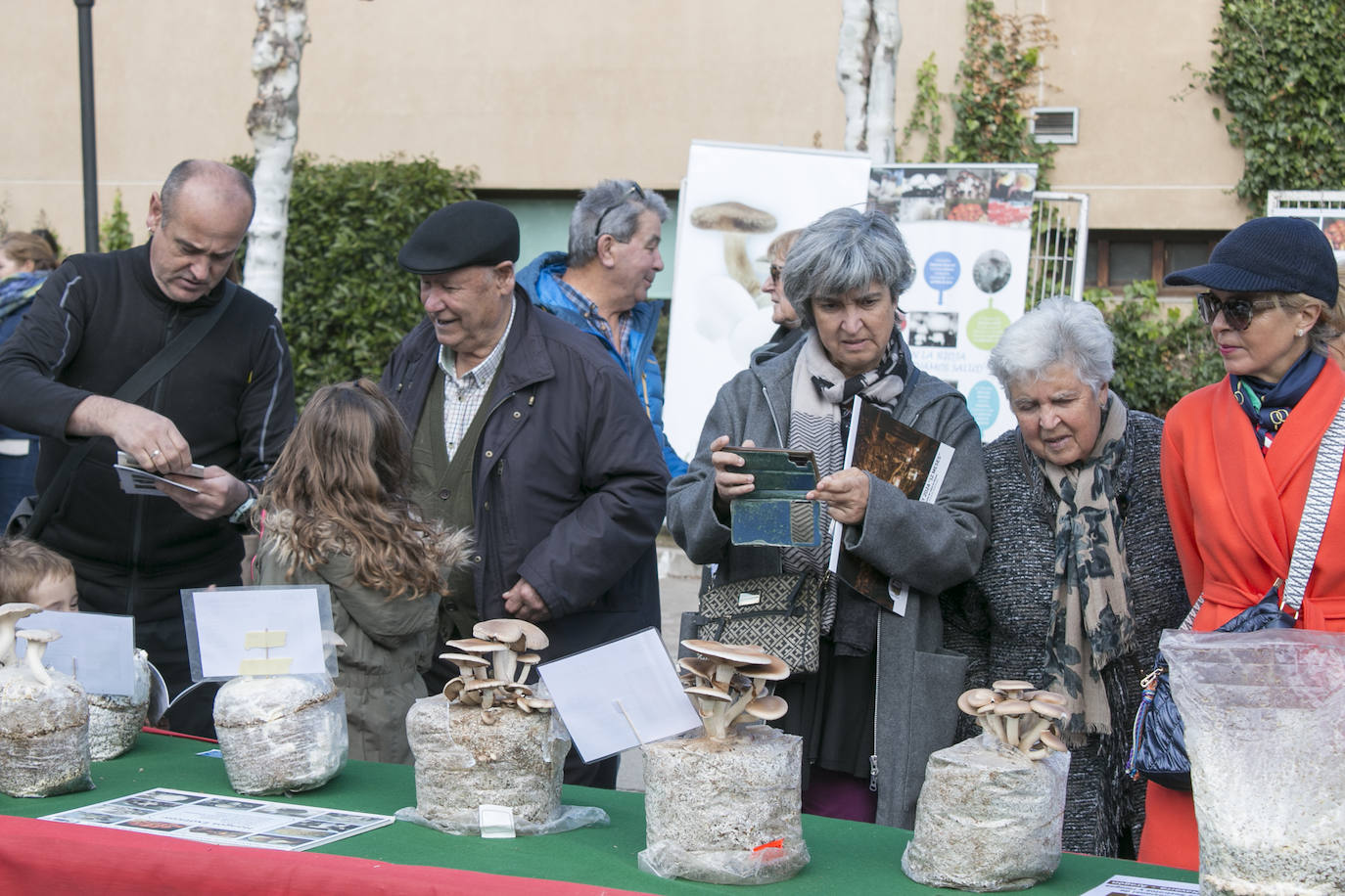 XXXI Jornadas Micológicas de Ezcaray