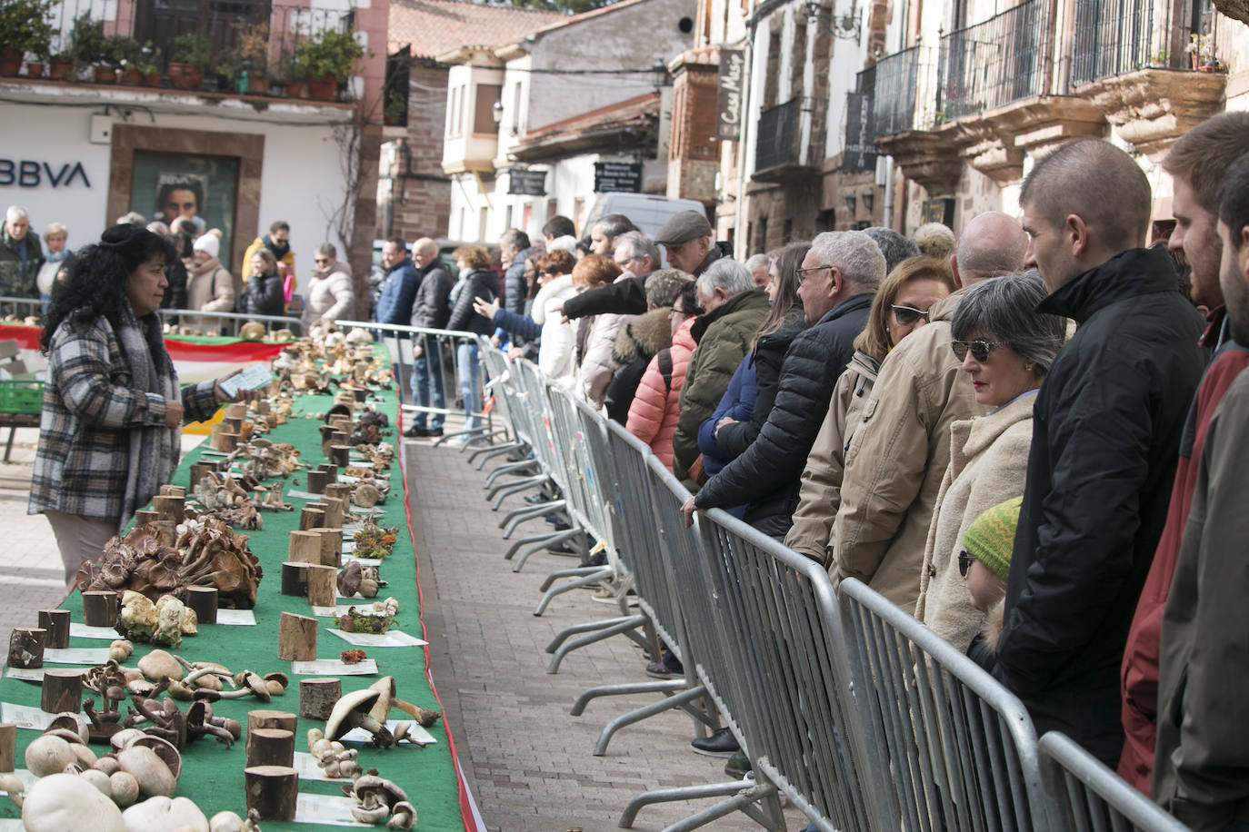 XXXI Jornadas Micológicas de Ezcaray