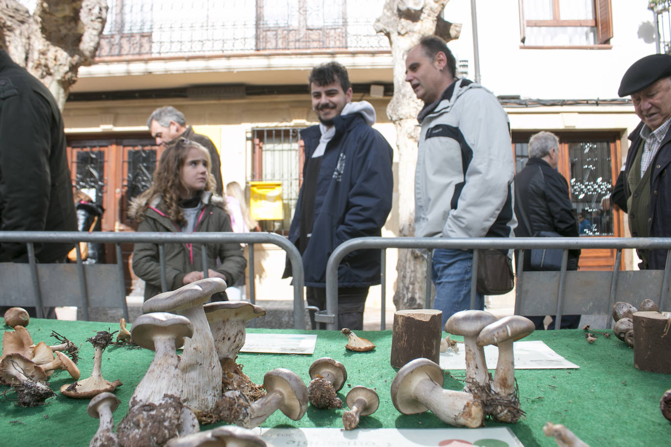 XXXI Jornadas Micológicas de Ezcaray