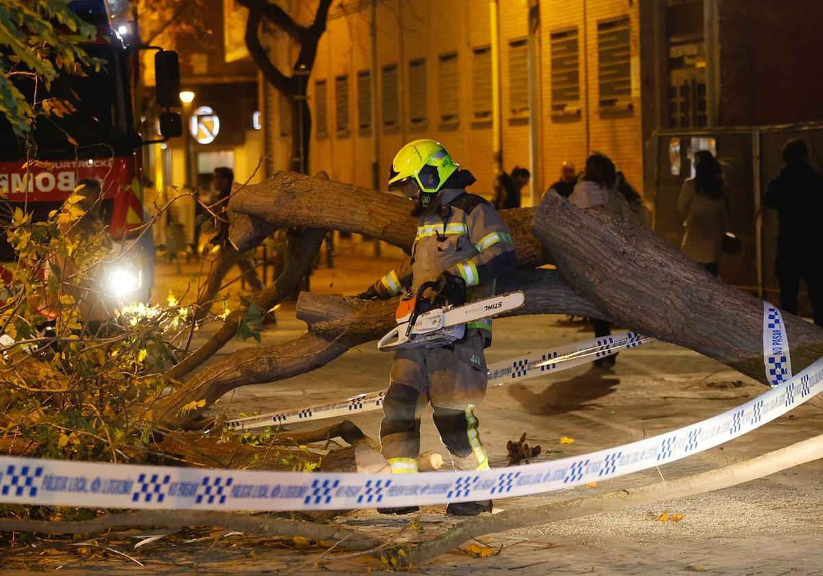 La mayoría de las incidencias tuvo que ver con caída y rotura de árboles