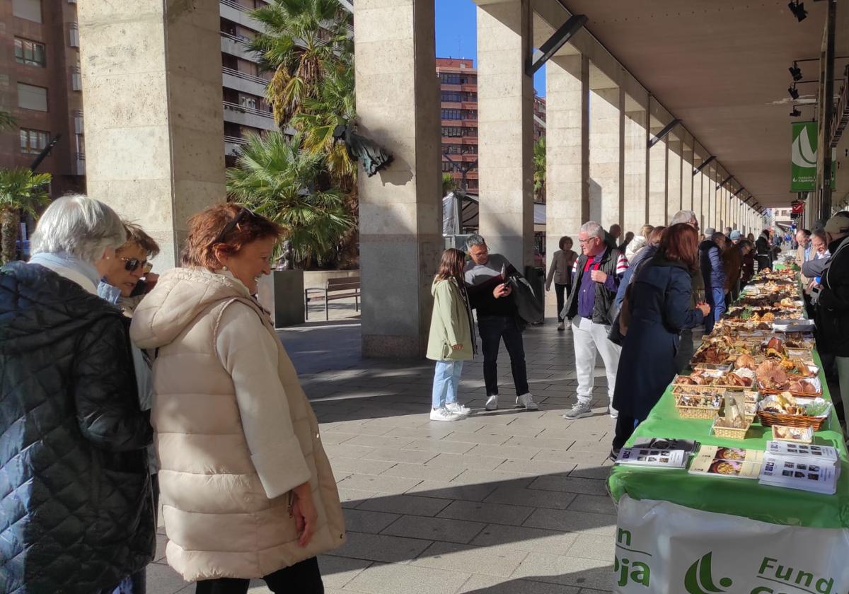 Verpa muestra 180 especies de setas en la Gran Vía