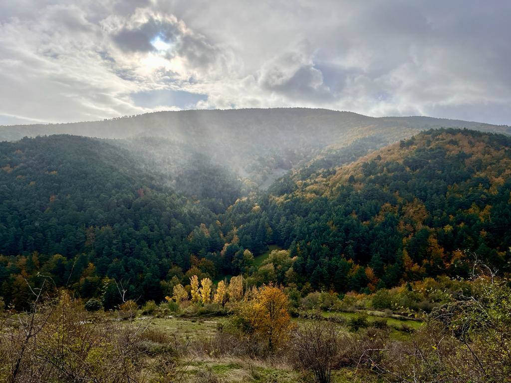 Otoño en el monte riojano