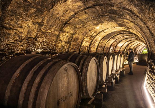 Calado de Tritium, en el subsuelo de Cenicero, en el que reposan algunas barricas y botellas.