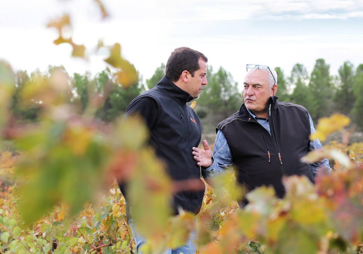 JonCañas y Fidel Fernández en el viñedo El Palacio, junto a la bodega