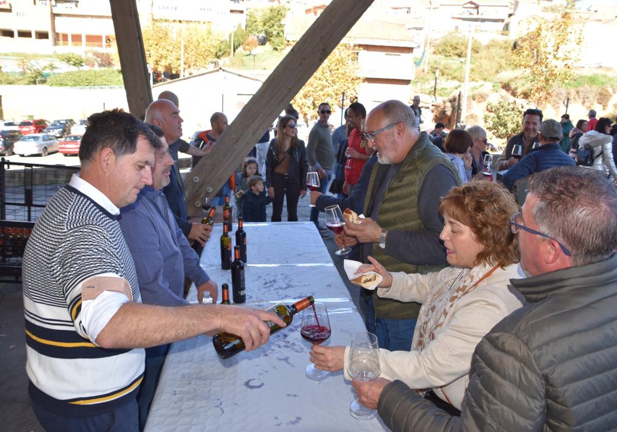 Fiesta del vino 'Joven de Noviembre', este domingo en la Bodega Cooperativa San Miguel de Ausejo.